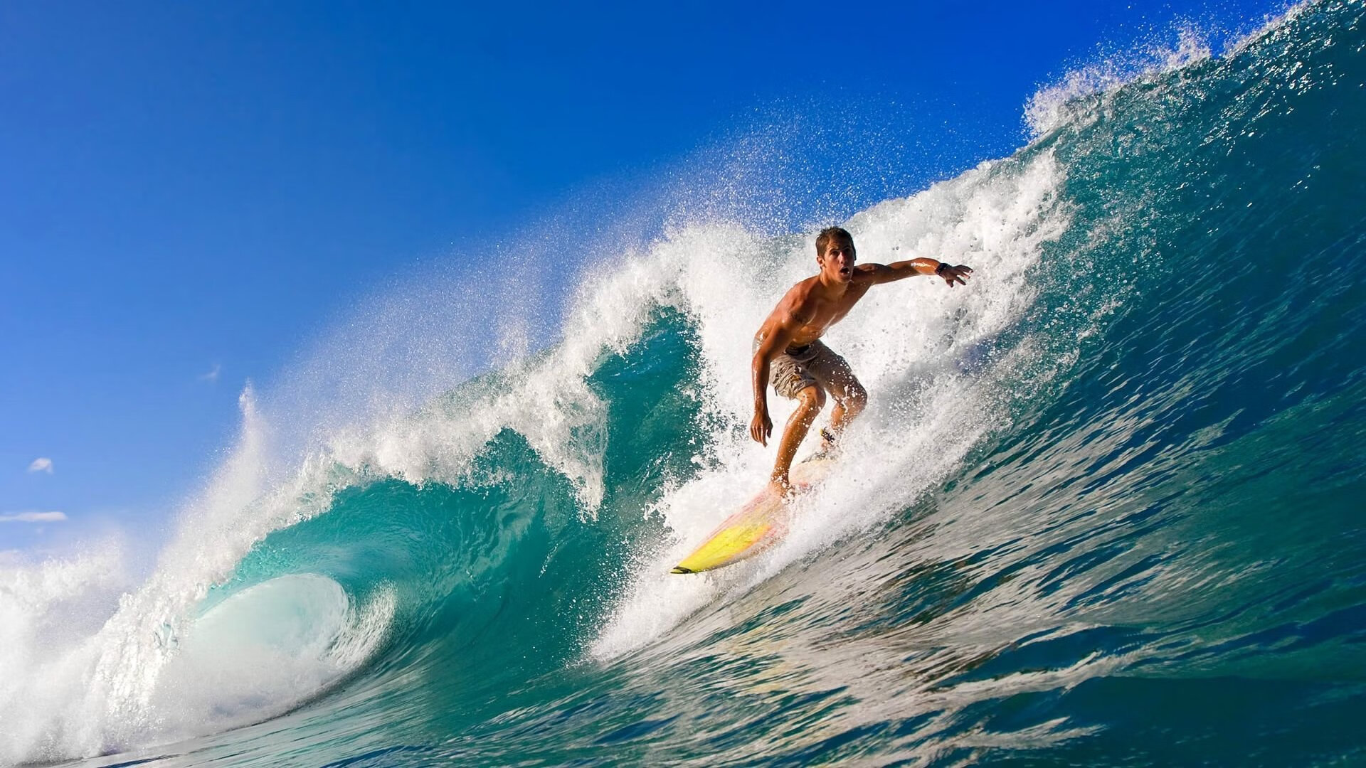 火力全开!广厦队压制篮网,莫兰特关键时刻定乾坤