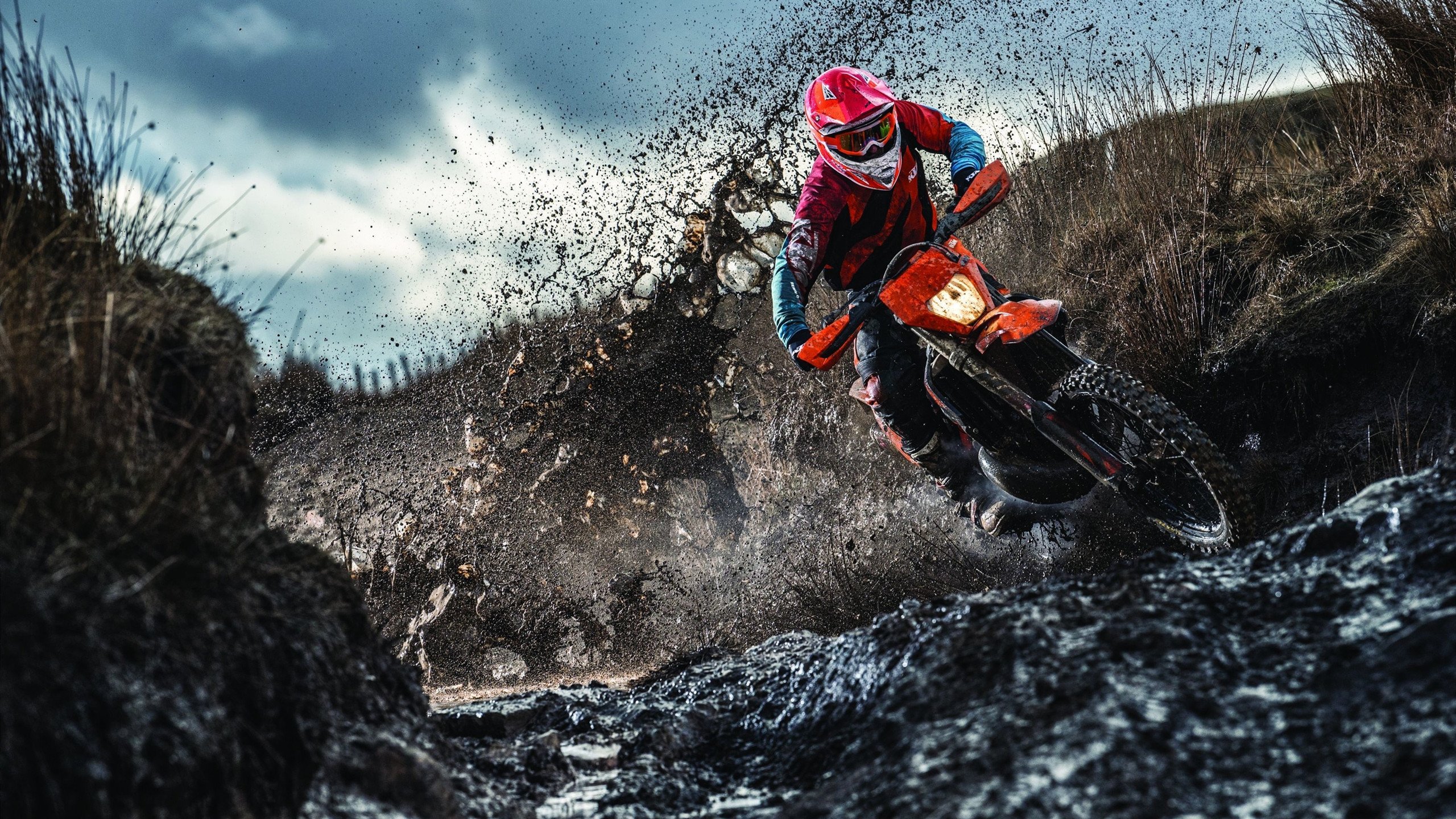 从红土到硬地，阿尔卡拉斯戴维斯杯高光表现，一场超越法网的团队胜利